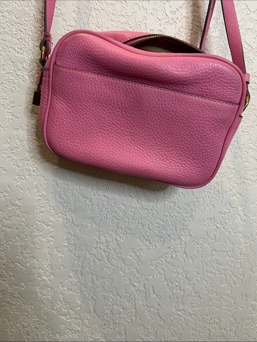 J. Crew Pink Pebbled Leather Crossbody Bag